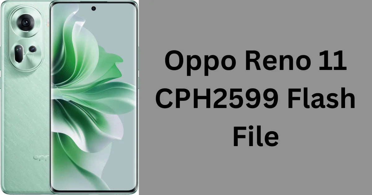 Oppo Reno 11 CPH2599 Flash File